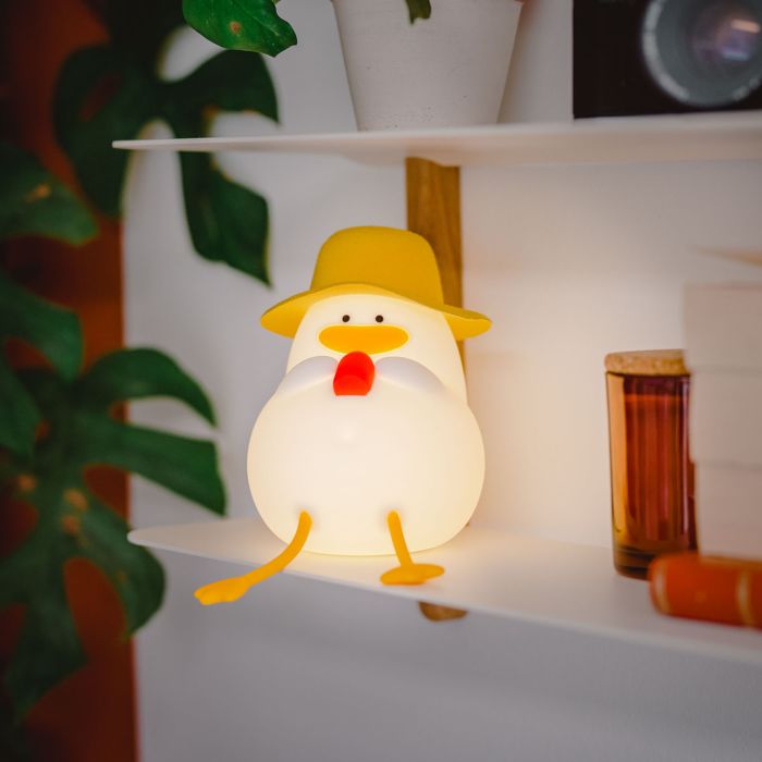 Geschenkidee Enten Lampe