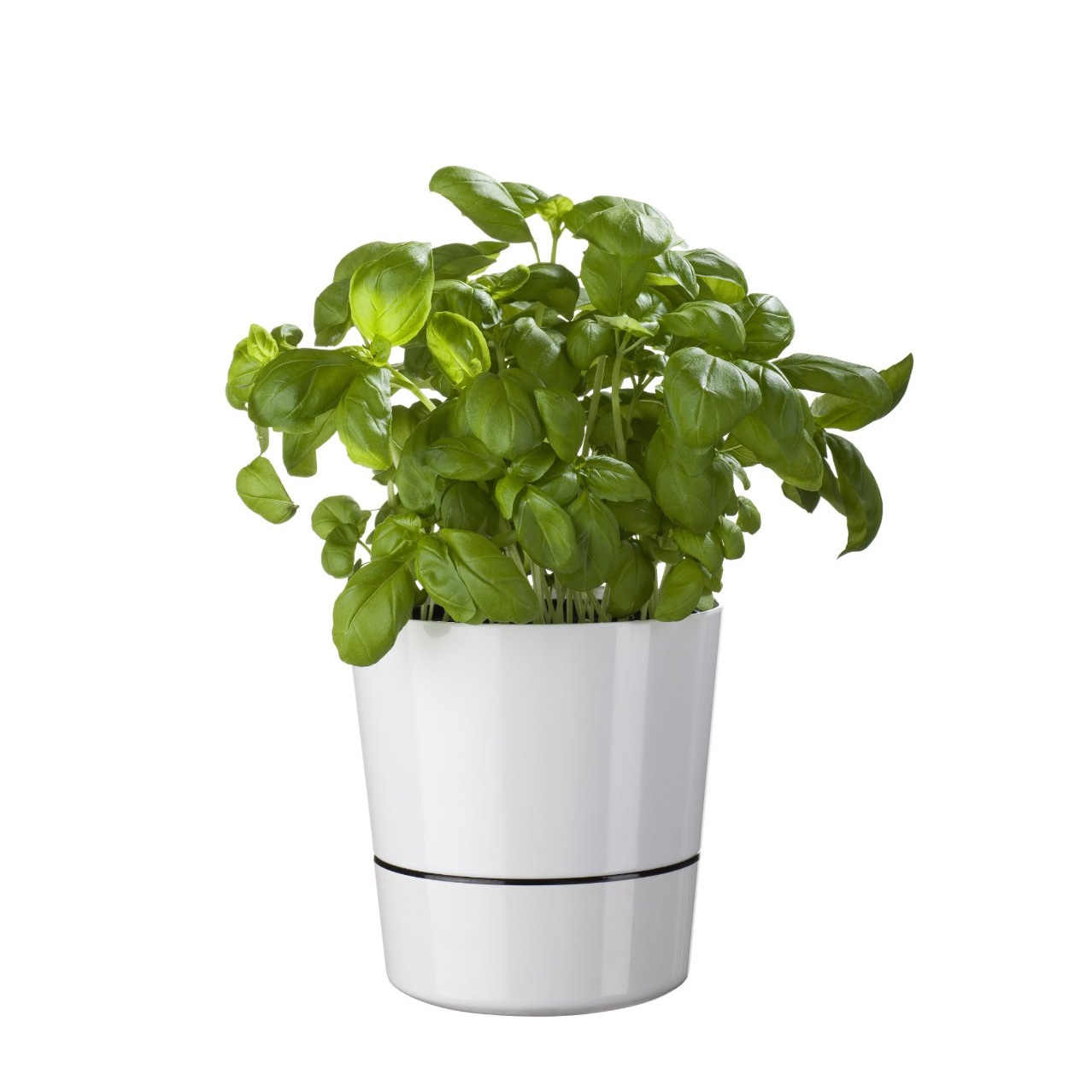 Herb Hydro Pot Blumentopf - Einzelstück, Geschenk, Geschenkidee